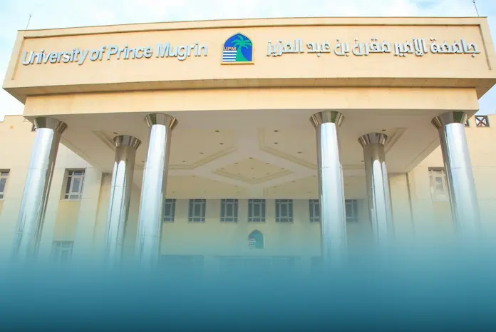 دبلومات عن بعد